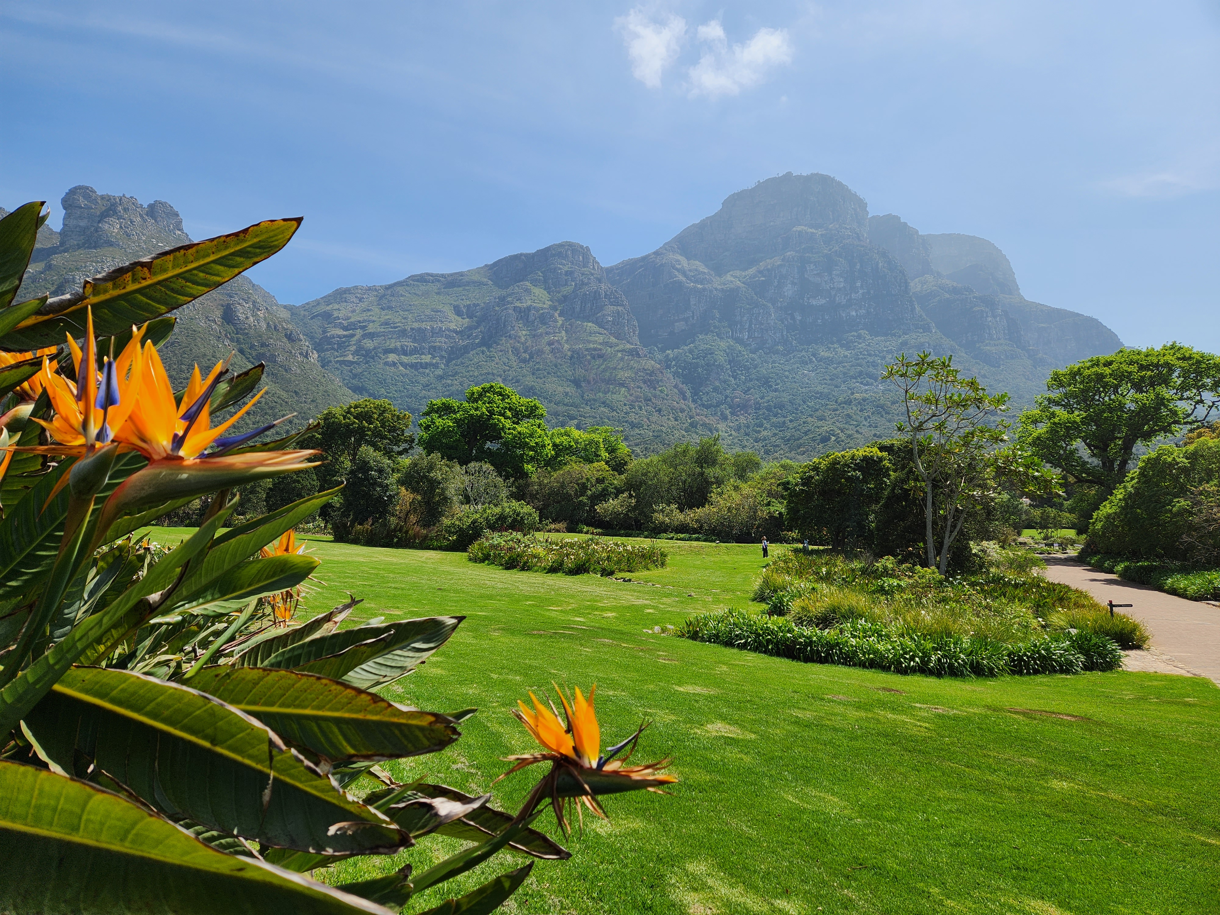 Kirstenbosch Botanical Gardens